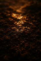 Culvita – Terreau Cactus & Plantes grasses 5L