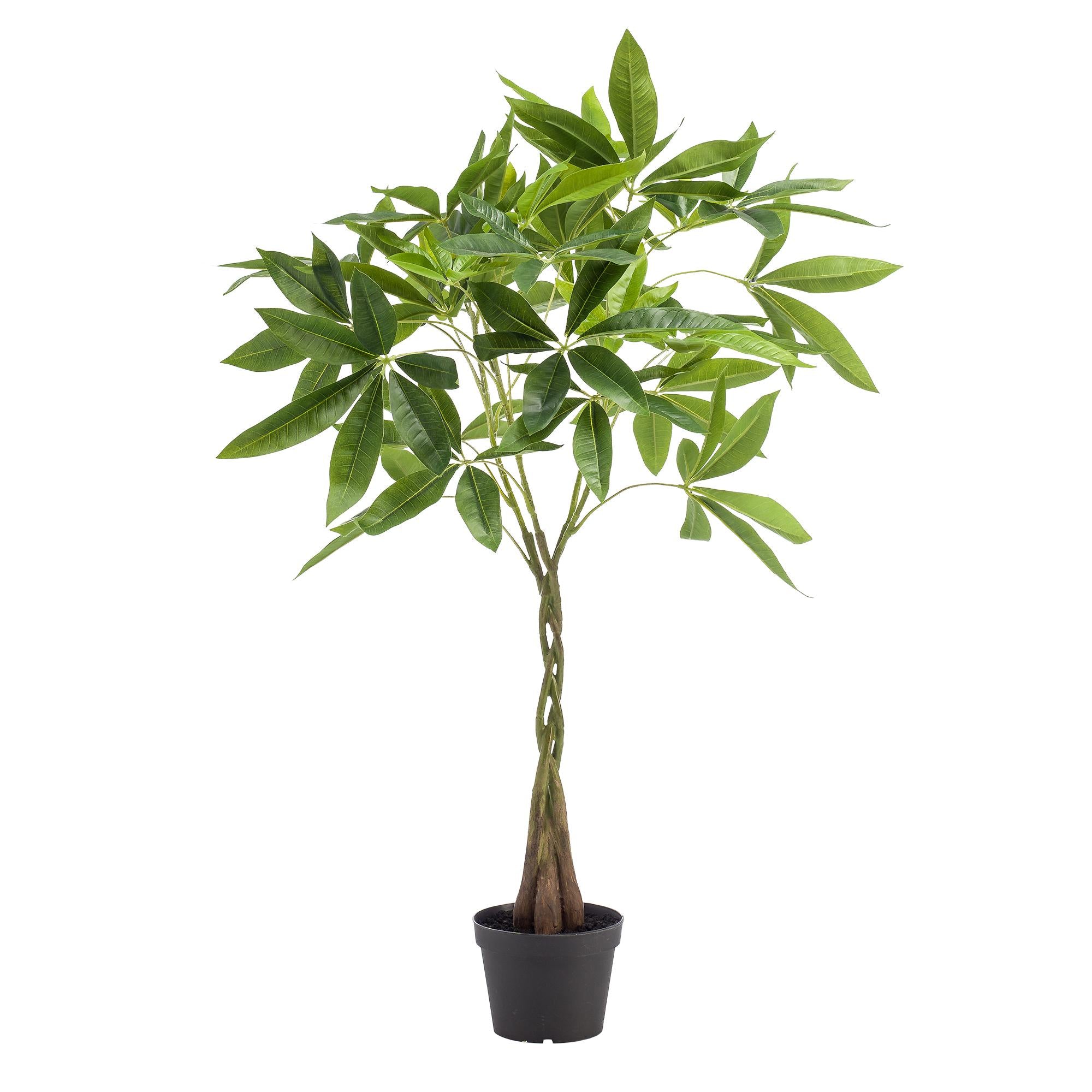 Artificial Pachira Aquatica – Ultra-realistic Decorative Money Tree, 90, 150 & 180 cm