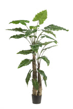 Alocasia artificielle — Olifantsoor — Plante d’intérieur design — 70 cm, 150 cm & 180 cm