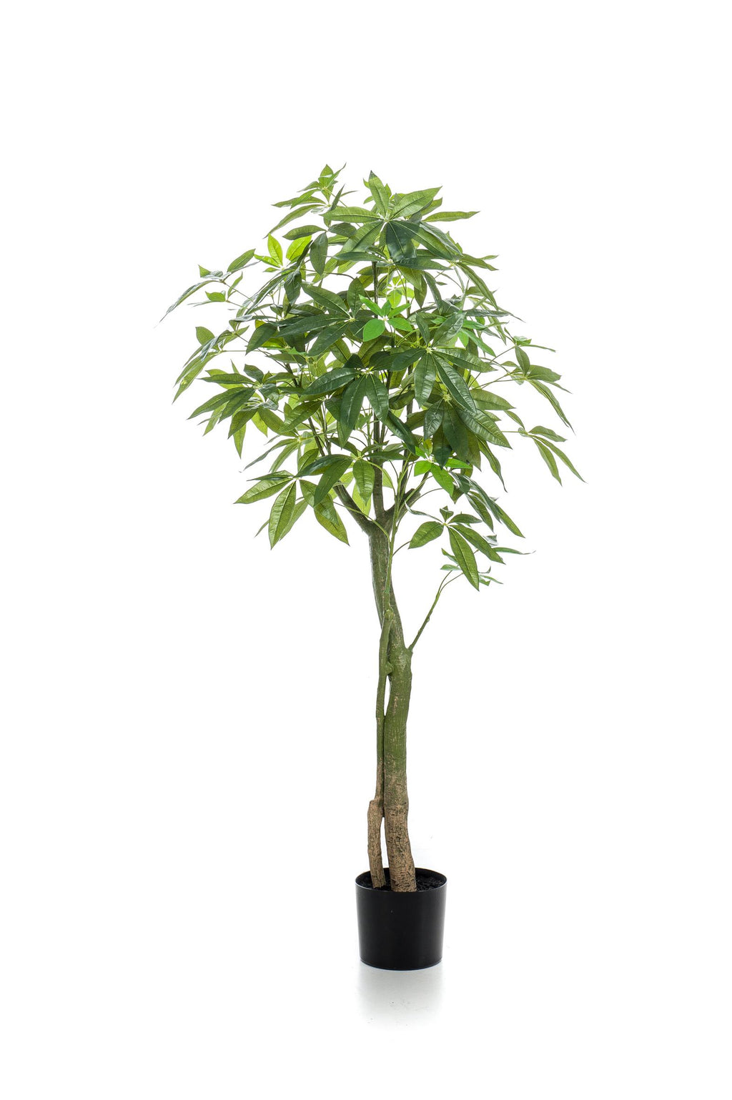 Pachira Aquatica artificielle – Arbre à Argent décoratif ultra réaliste, 150 & 180 cm