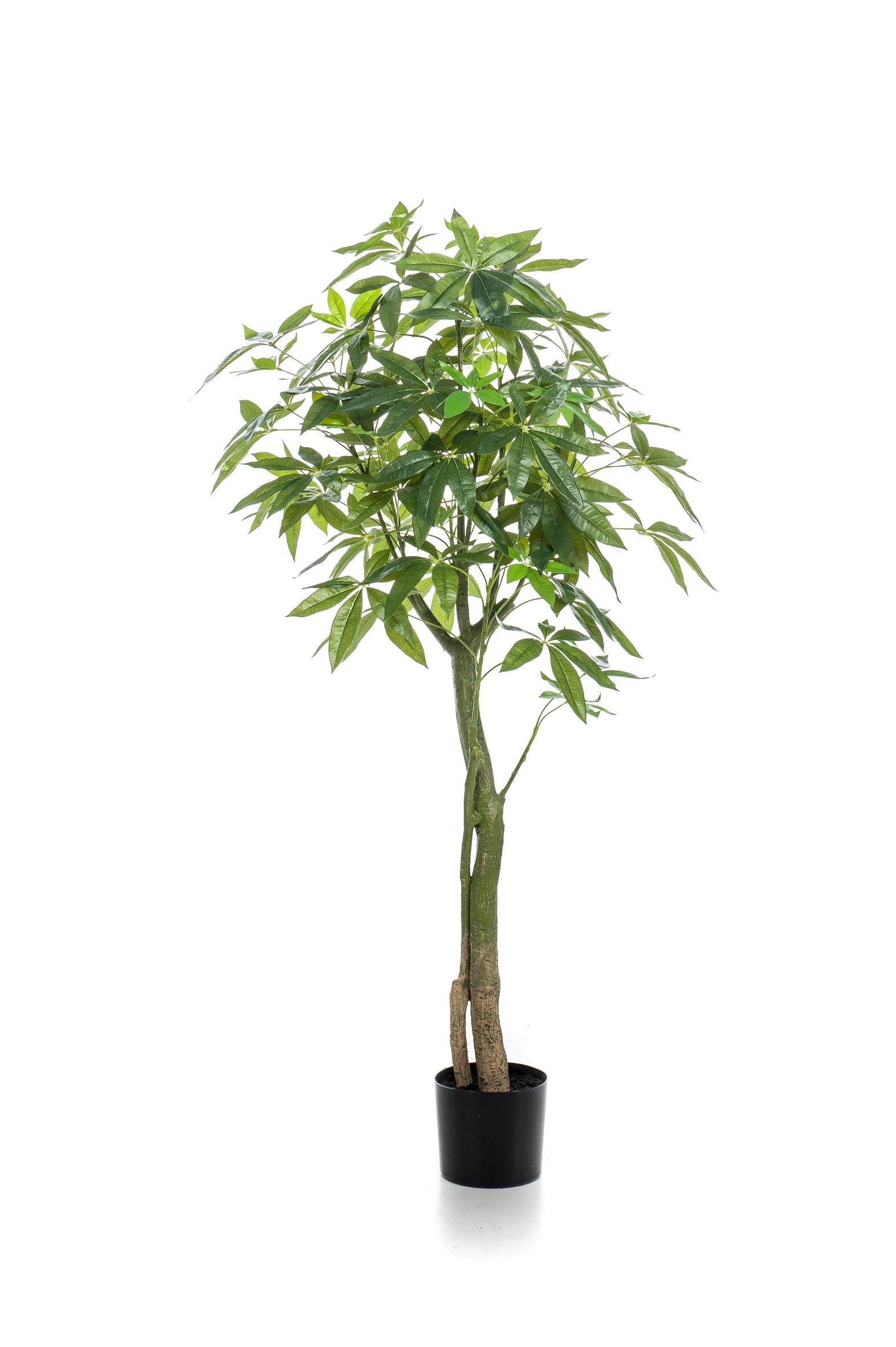 Pachira Aquatica artificielle – Arbre à Argent décoratif ultra réaliste, 150 & 180 cm