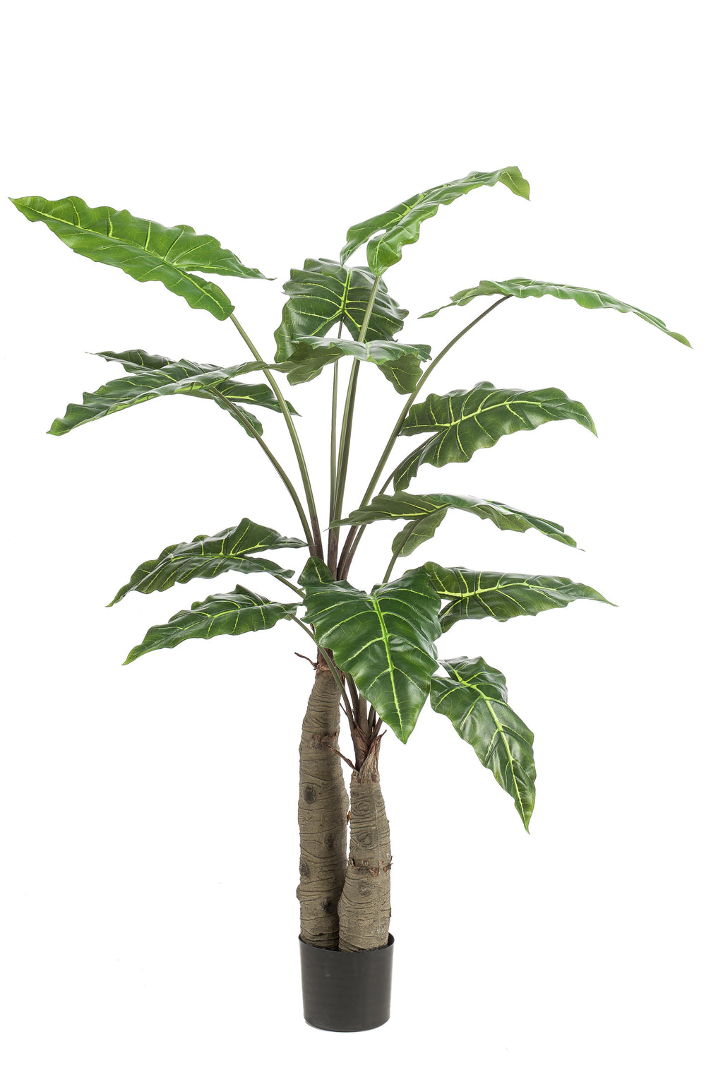 Alocasia artificielle — Olifantsoor — Plante d’intérieur design — 70 cm, 150 cm & 180 cm