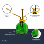 Vaporisateur en Verre Vert – Brume Fine & Design Vintage