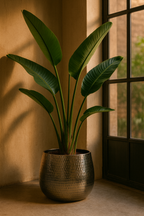 Jenna Lead Anthracite Hammered Cachepot – Contemporary Ceramic Planter