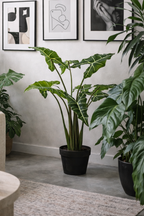 Alocasia Frydek artificielle — Olifantsoor — Plante d’intérieur design — 80 cm & 120 cm