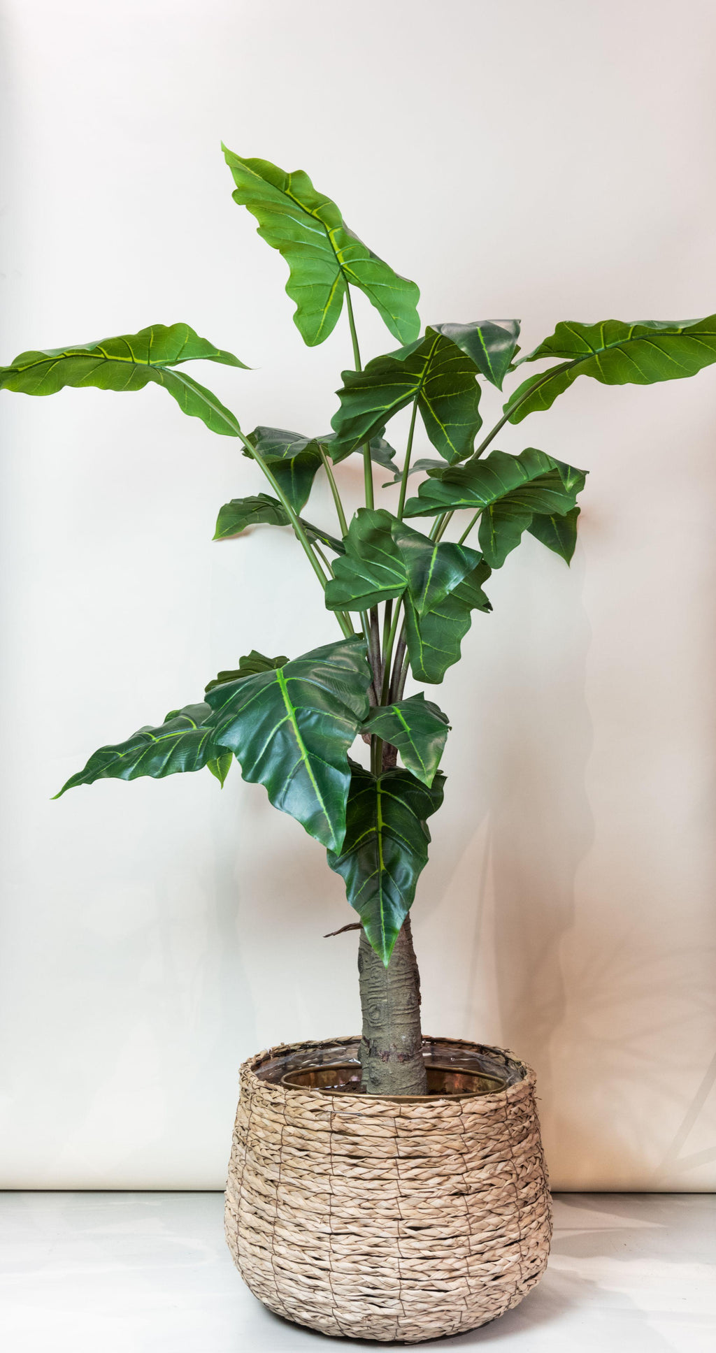 Alocasia artificielle — Olifantsoor — Plante d’intérieur design — 70 cm, 150 cm & 180 cm