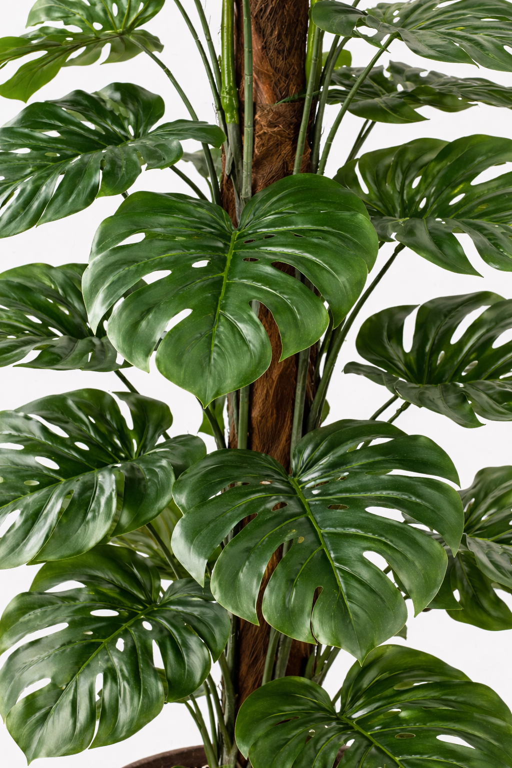 Monstera Deliciosa artificielle – Plante décorative iconique & ultra-réaliste - 65 cm à 180 cm