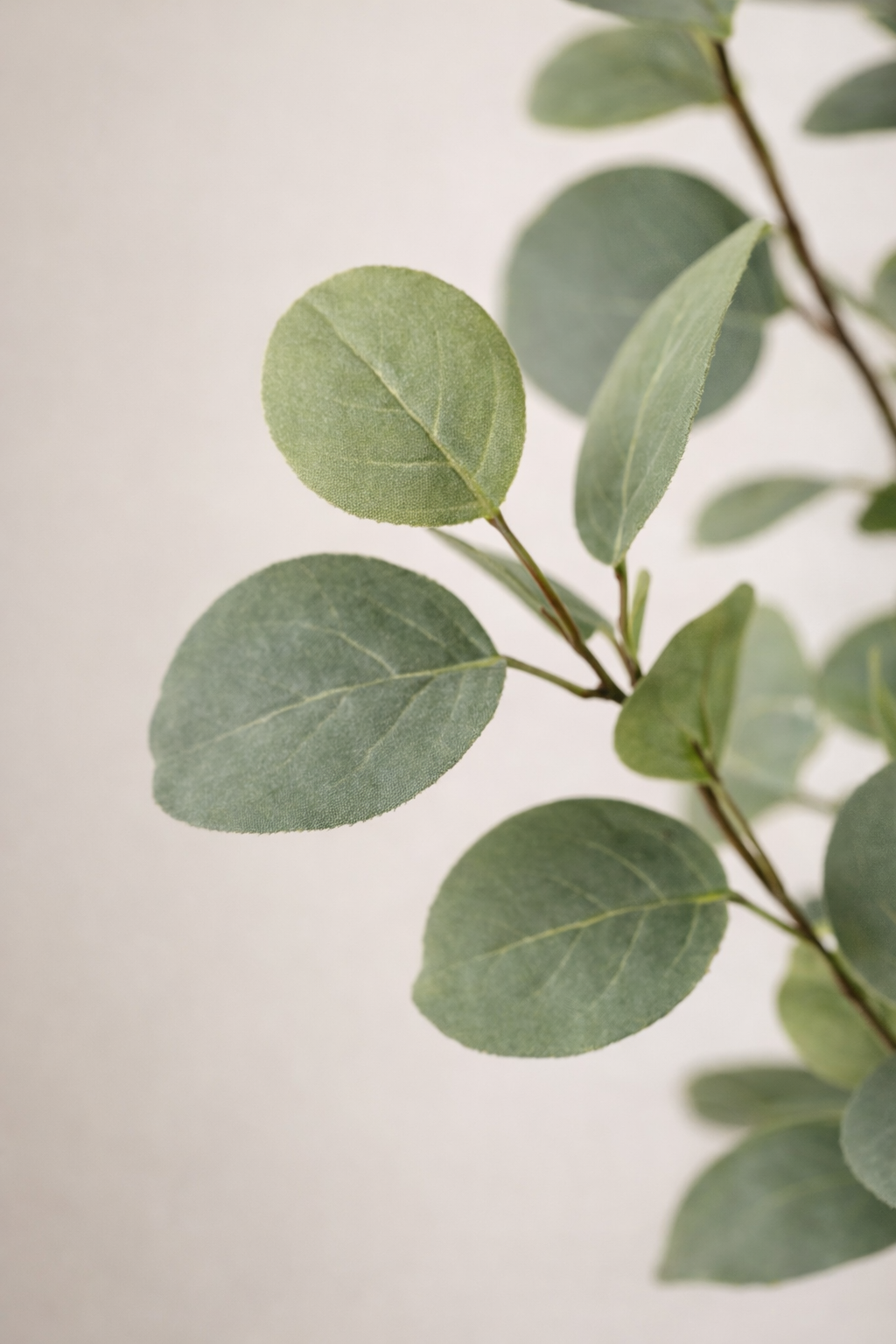 Eucalyptus artificiel – Gommier bleu décoratif 120 cm | 140 cm | 180 cm