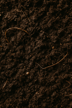 Van Egmond Potgrond – Terreau universel 10 L / 20 L