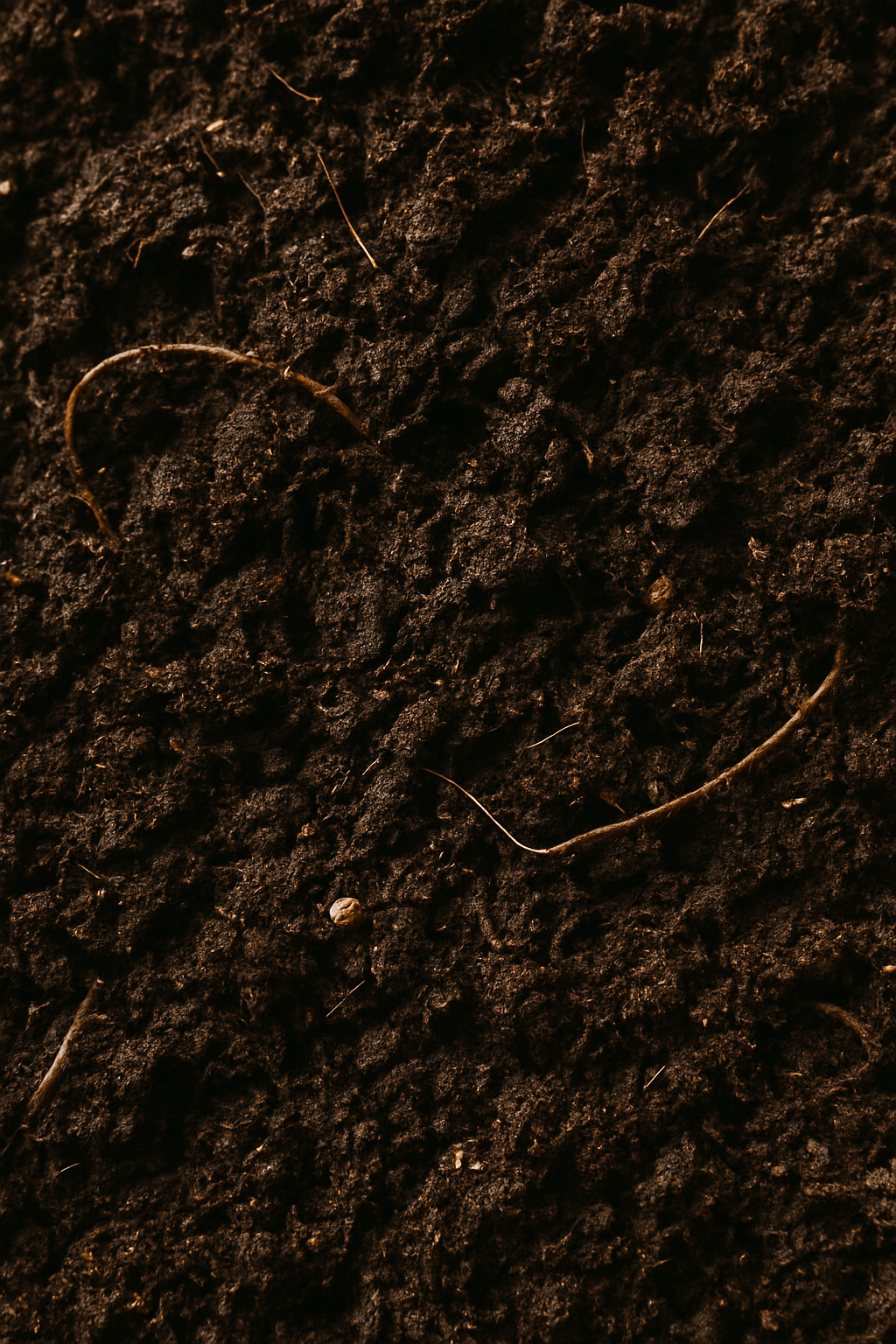 Van Egmond Potgrond – Terreau universel 10 L / 20 L