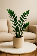 Engrais en Cônes pour Plantes d’Intérieur – Nutrition Lente (10 pièces)